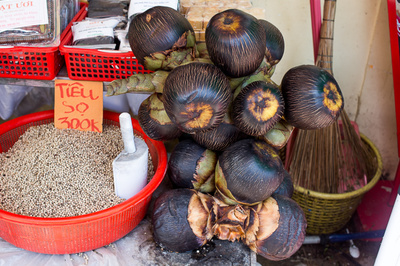 Borassus flabellifer